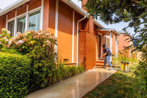 Best Affordable Power Washing  in Kentwood, MI