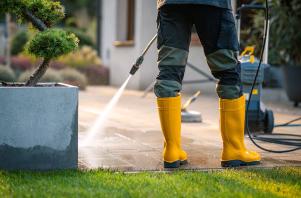 Roof Power Washing Services in Kentwood, MI